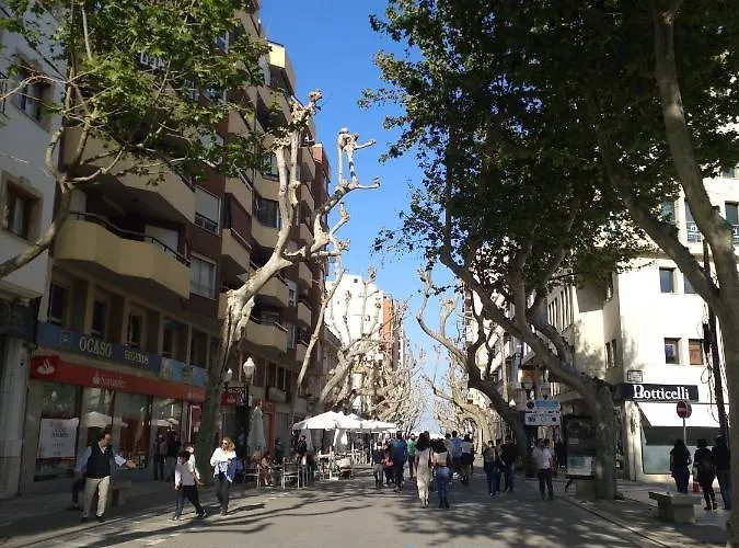 Estudio Alfil-piscina *