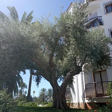 Estudio Alfil-piscina Apartment Denia