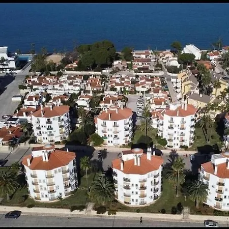 Estudio Alfil-piscina *