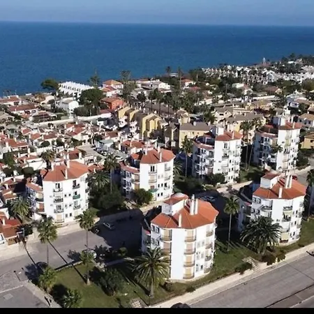 Estudio Alfil-piscina