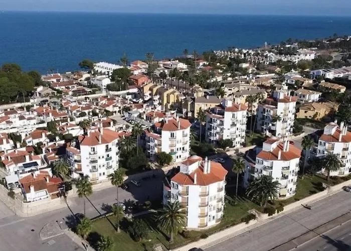 Estudio Alfil-piscina