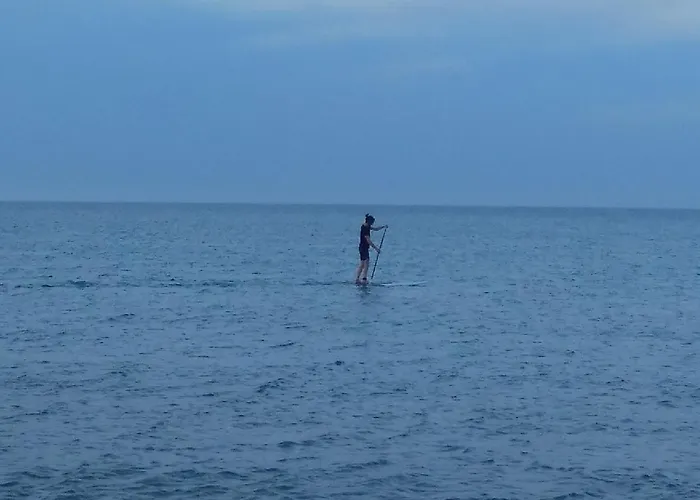 Estudio Alfil-piscina